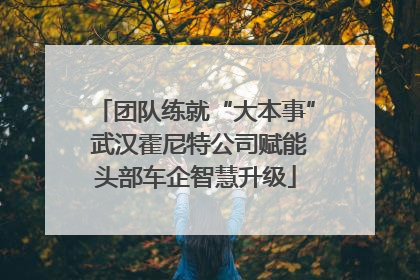 团队练就“大本事” 武汉霍尼特公司赋能头部车企智慧升级