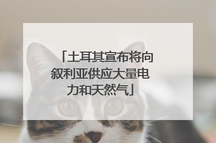 土耳其宣布将向叙利亚供应大量电力和天然气