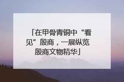 在甲骨青铜中“看见”殷商，一展纵览殷商文物精华
