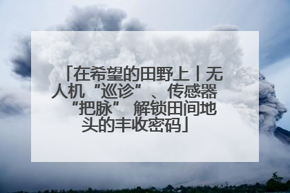 在希望的田野上丨无人机“巡诊”、传感器“把脉” 解锁田间地头的丰收密码