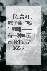 在普洱，粽子会“喝”咖啡——有一种叫云南的生活之365天
