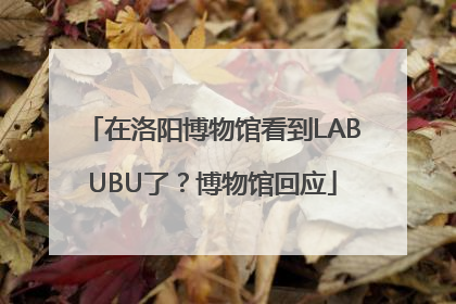 在洛阳博物馆看到LABUBU了？博物馆回应