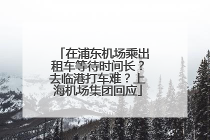 在浦东机场乘出租车等待时间长？去临港打车难？上海机场集团回应