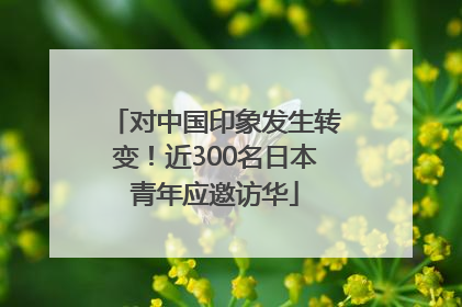 对中国印象发生转变！近300名日本青年应邀访华