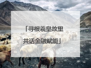 寻根羲皇故里 共话金融赋能