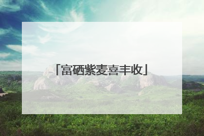 富硒紫麦喜丰收