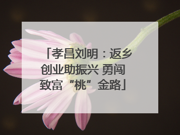 孝昌刘明：返乡创业助振兴 勇闯致富“桃”金路
