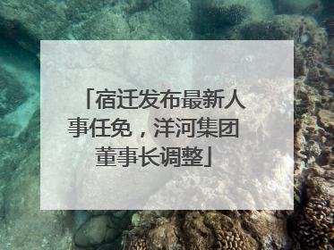 宿迁发布最新人事任免，洋河集团董事长调整