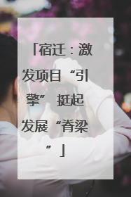 宿迁：激发项目“引擎” 挺起发展“脊梁”