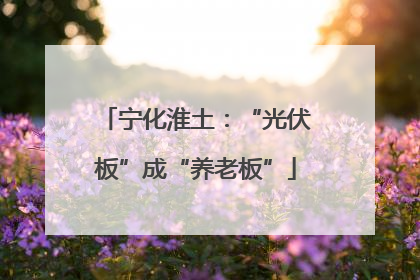 宁化淮土：“光伏板”成“养老板”