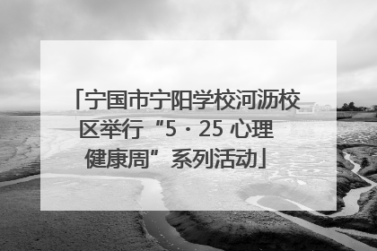 宁国市宁阳学校河沥校区举行“5・25 心理健康周”系列活动