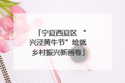 宁夏西夏区 “兴泾黄牛节”绘就乡村振兴新画卷
