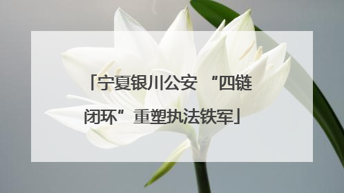 宁夏银川公安 “四链闭环”重塑执法铁军