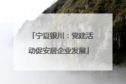 宁夏银川：党建活动促安居企业发展