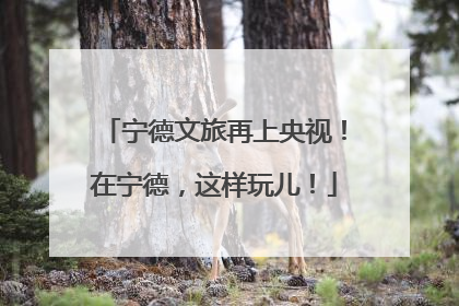 宁德文旅再上央视！在宁德，这样玩儿！