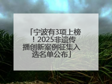 宁波有3项上榜！2025非遗传播创新案例征集入选名单公布