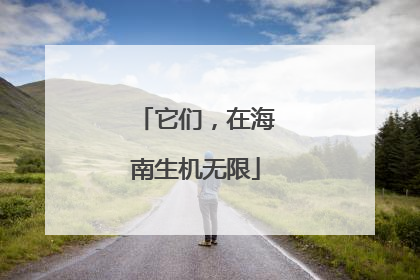 它们，在海南生机无限