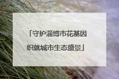 守护淄博市花基因 织就城市生态盛景