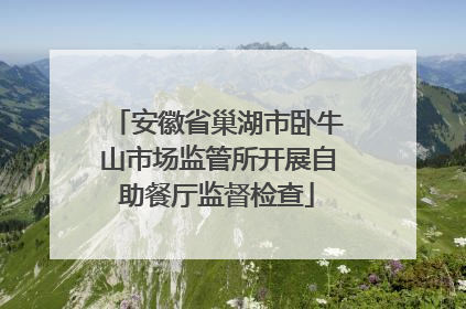安徽省巢湖市卧牛山市场监管所开展自助餐厅监督检查