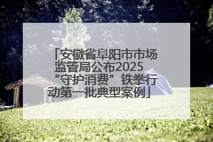 安徽省阜阳市市场监管局公布2025“守护消费”铁拳行动第一批典型案例