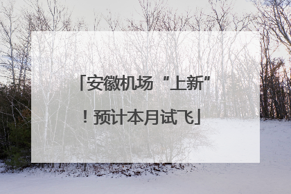安徽机场“上新”！预计本月试飞