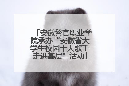 安徽警官职业学院承办“安徽省大学生校园十大歌手走进基层”活动
