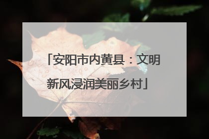 安阳市内黄县：文明新风浸润美丽乡村