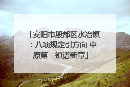 安阳市殷都区水冶镇：八项规定引方向 中原第一镇谱新章