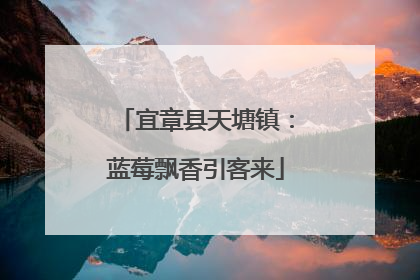 宜章县天塘镇：蓝莓飘香引客来