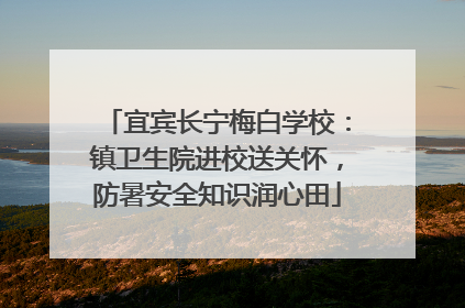 宜宾长宁梅白学校：镇卫生院进校送关怀，防暑安全知识润心田