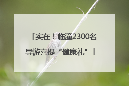 实在！临潼2300名导游喜提“健康礼”