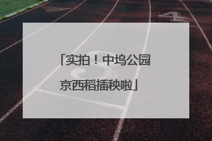 实拍！中坞公园京西稻插秧啦