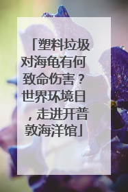 塑料垃圾对海龟有何致命伤害？世界环境日，走进开普敦海洋馆