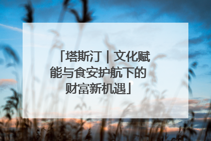 塔斯汀｜文化赋能与食安护航下的财富新机遇