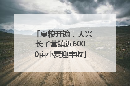 夏粮开镰，大兴长子营镇近6000亩小麦迎丰收