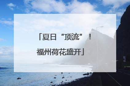 夏日“顶流”！福州荷花盛开
