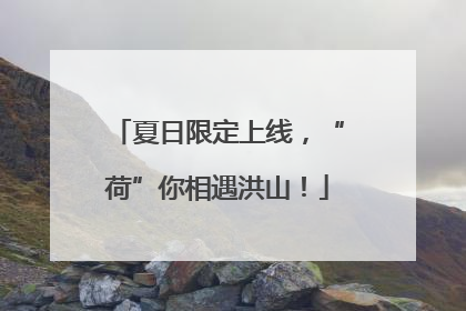 夏日限定上线，“荷”你相遇洪山！