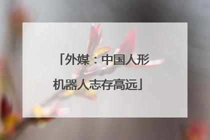 外媒：中国人形机器人志存高远