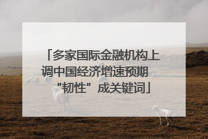 多家国际金融机构上调中国经济增速预期 “韧性”成关键词