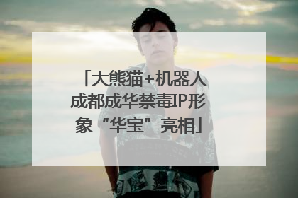 大熊猫+机器人 成都成华禁毒IP形象“华宝”亮相