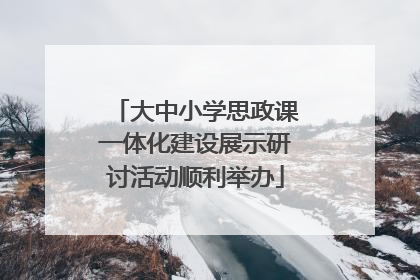 大中小学思政课一体化建设展示研讨活动顺利举办