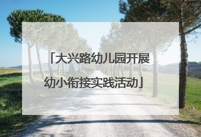 大兴路幼儿园开展幼小衔接实践活动