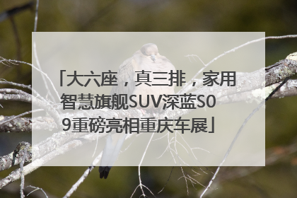 大六座，真三排，家用智慧旗舰SUV深蓝S09重磅亮相重庆车展