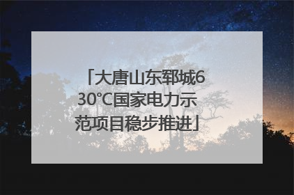 大唐山东郓城630℃国家电力示范项目稳步推进