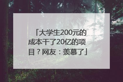 大学生200元的成本干了20亿的项目？网友：羡慕了