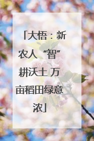 大悟：新农人“智”耕沃土 万亩稻田绿意浓