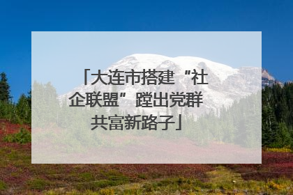 大连市搭建“社企联盟”蹚出党群共富新路子