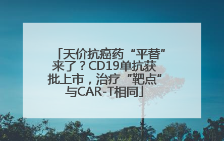 天价抗癌药“平替”来了？CD19单抗获批上市，治疗“靶点”与CAR-T相同