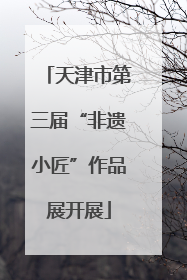 天津市第三届“非遗小匠”作品展开展