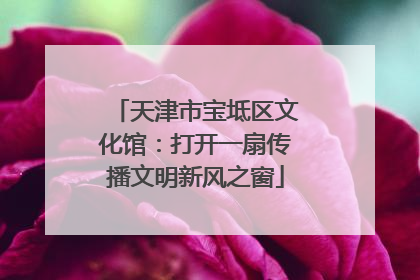 天津市宝坻区文化馆：打开一扇传播文明新风之窗